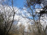San Defendente (26).JPG